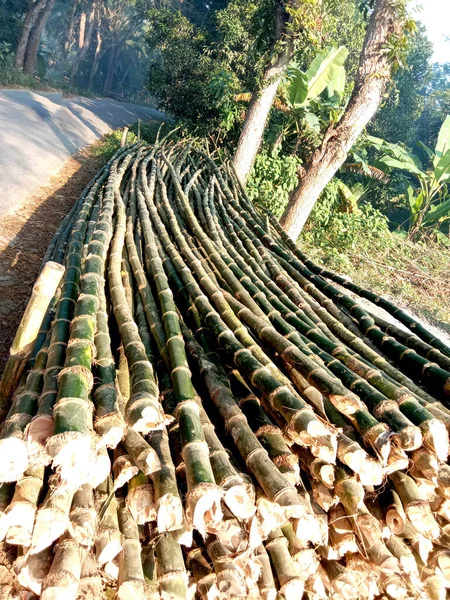 Tiro Vertical Dos Bastões Bambu Colhidos Empilhados Outro Para Venda — Fotografia de Stock