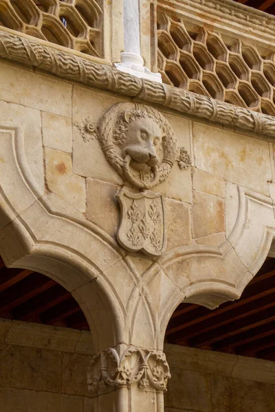 Plan Vertical Mur Béton Décoratif Dans Nouvelle Cathédrale Salamanque Espagne — Photo