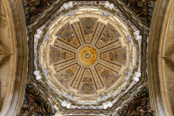 西班牙萨拉曼卡新主教座堂马赛克天花板的低角度照片 — 图库照片