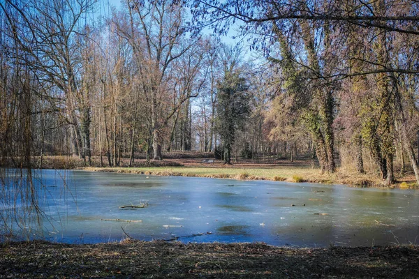 공원에 연못의 경치와 아름다운 — 스톡 사진