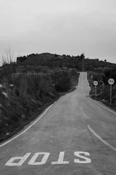Grayscale Long Road Surrounded Plants Countryside — Foto de Stock