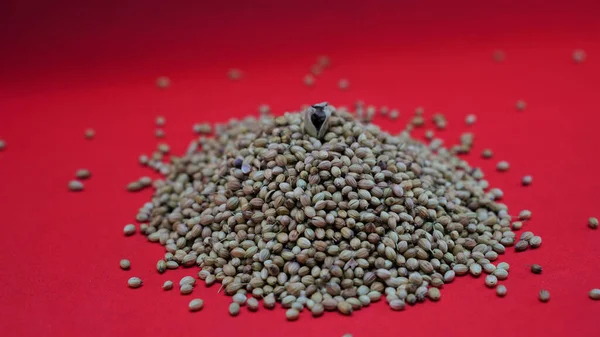 Closeup Pile Dry Coriander Seeds Red Surface — Stock Photo, Image