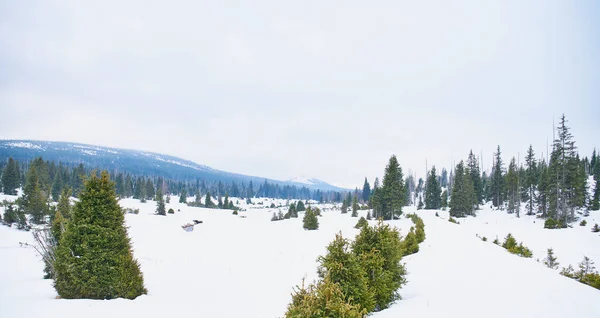 Winter Landscape Modrava Sumava National Park — ストック写真