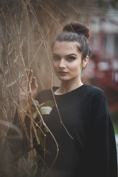 Young Bosnian Woman Bun Hairstyle Makeup Posing Dried Branches — стоковое фото