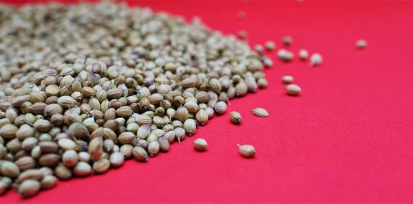 Closeup Dry Coriander Seeds Red Surface Space Text — Stock Photo, Image