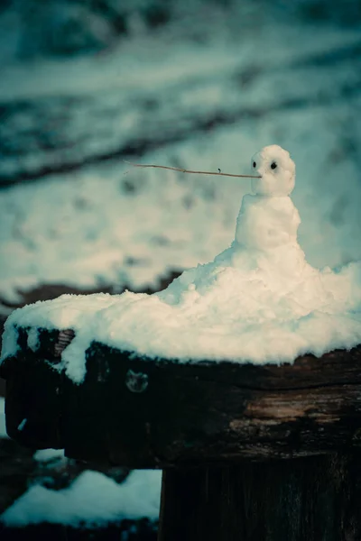 Ormanda Küçük Bir Kardan Adamın Dikey Görüntüsü — Stok fotoğraf