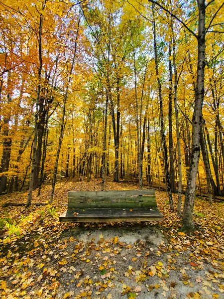 Old Wooden Bench Scenic Peaceful Autumn Park Colorful Foliage —  Fotos de Stock