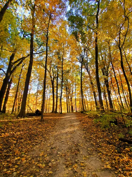 Cesta Malebném Podzimním Parku Pestrobarevným Listím — Stock fotografie