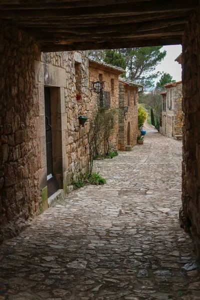Old Tunnel Street Cobblestone Road Surrounded Houses Countryside — ストック写真