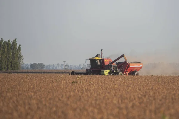 Firmat Argentina Aprile 2021 Rosso Unisce Raccolti Soia Nel Tardo — Foto Stock