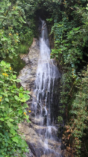 Вертикальный Снимок Маленького Водопада Природе — стоковое фото