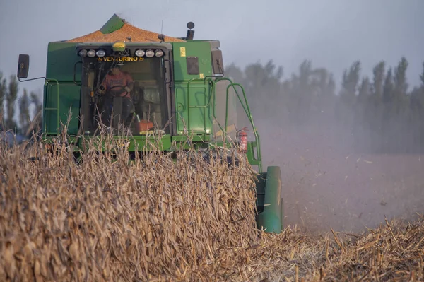 Firmat Argentinien April 2021 Ein Grüner Mähdrescher Erntet Späten Nachmittag — Stockfoto