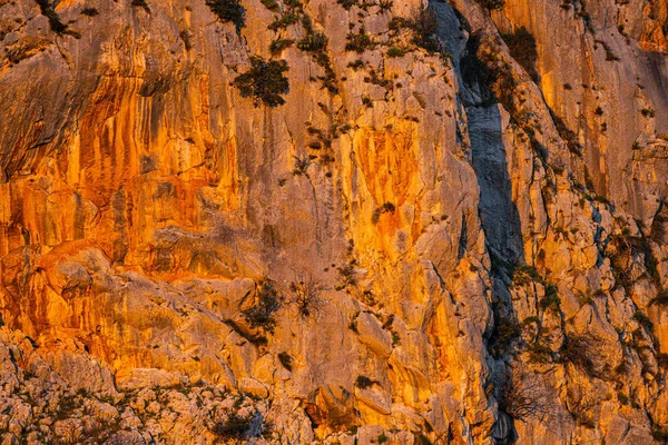 Canyon Golden Hour —  Fotos de Stock