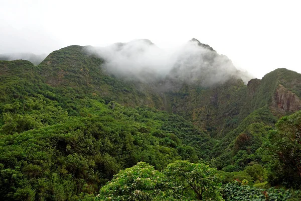 Eine Schöne Aufnahme Nebliger Berge Die Von Bäumen Bedeckt Sind — Stockfoto