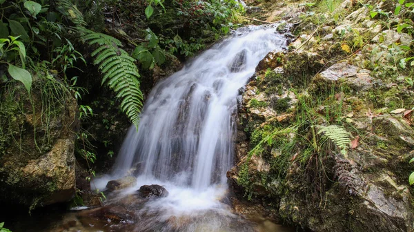 Uma Pequena Cachoeira Natureza — Fotografia de Stock