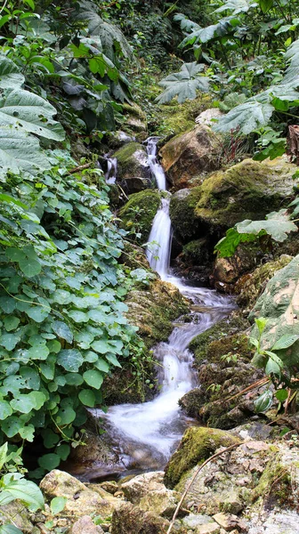 Een Verticaal Shot Van Een Kleine Waterval Natuur — Stockfoto