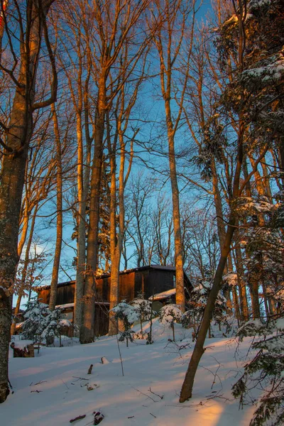 Une Cabane Dans Les Bois Hiver — Photo