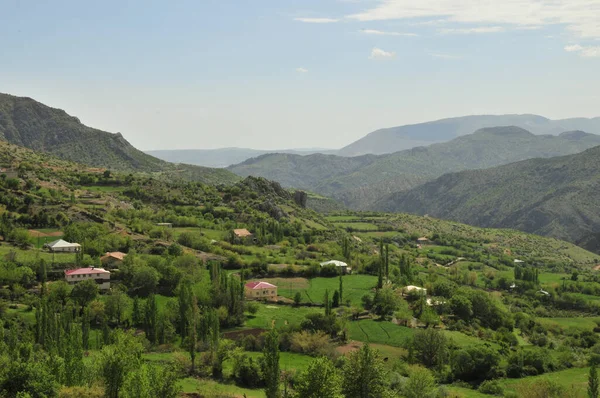 Eine Grüne Bergregion Mit Dorfhäusern — Stockfoto