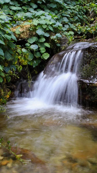 一个小瀑布在自然界中的垂直镜头 — 图库照片