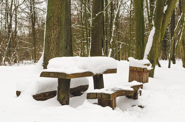 Beautiful Shot Snowy Forest — Stock Photo, Image