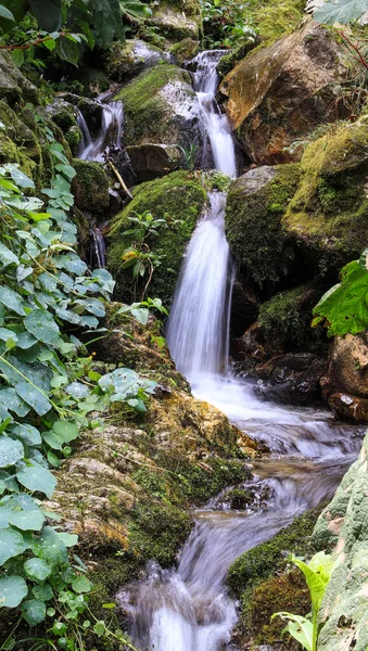 Tiro Vertical Uma Pequena Cachoeira Natureza — Fotografia de Stock