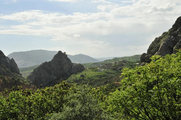 Vasto Prado Verde Con Arbustos Rocas Montañas — Foto de Stock