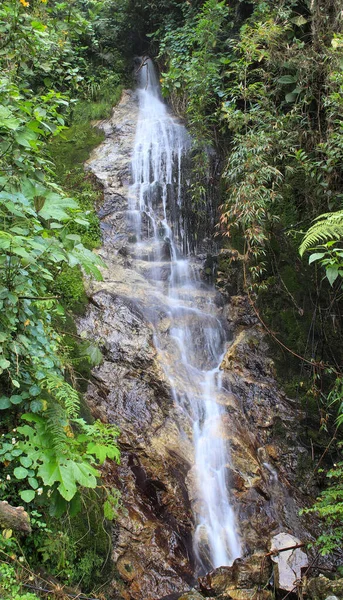 Plan Vertical Une Petite Cascade Dans Nature — Photo