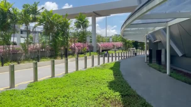 Vue Des Terminaux Aéroport Changi Depuis Jewel Presque Pas Circulation — Video