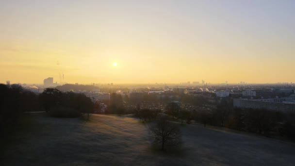 Vista Panoramica Del Parco Nella Grande Città Durante Giornata Sole — Video Stock