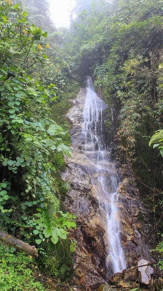 Colpo Verticale Una Piccola Cascata Nella Natura — Foto Stock