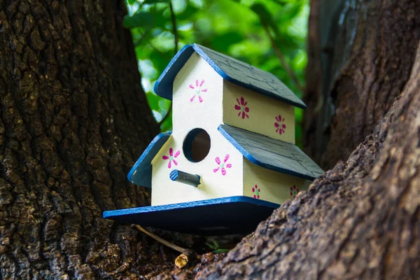 Casas Feitas Mão Para Pássaros Pintados Mão Tronco Árvore Primavera — Fotografia de Stock