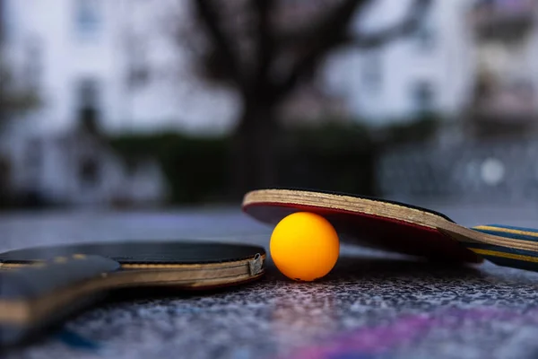 Due Pipistrelli Ping Pong Una Palla Con Segno Cuore Viola — Foto Stock