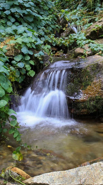 Tiro Vertical Uma Pequena Cachoeira Natureza — Fotografia de Stock