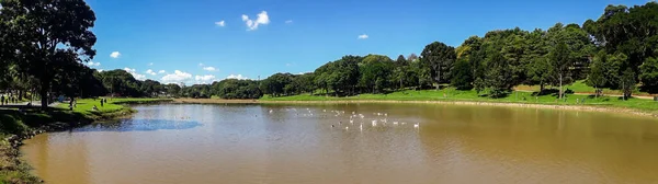 Beautiful Panoramic View Sao Lourenco Park Curitiba Brazil — Stock Photo, Image