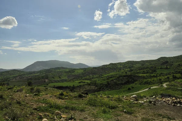 Ένα Απέραντο Πράσινο Λιβάδι Θάμνους Και Βουνά — Φωτογραφία Αρχείου