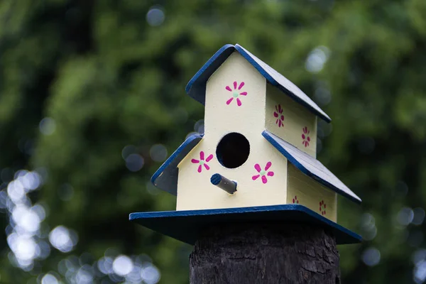 Handmade Houses Birds Hand Painted Tree Trunk Spring — Stock Photo, Image