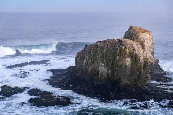 Punta Lobos Surf Point Pichilemu Chile Jättevågor Och Utsikt Över — Stockfoto