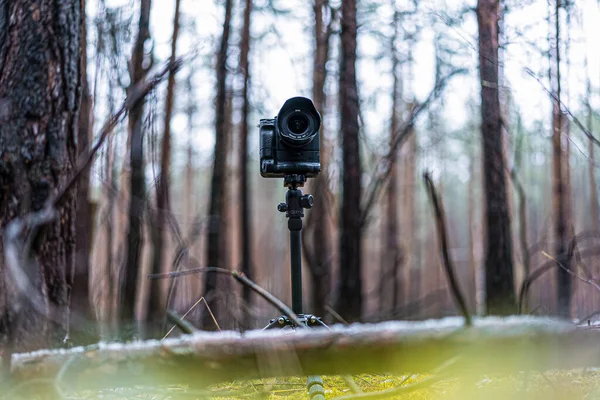 Selektiv Fokusbild Kamera Ett Stativ Utomhus — Stockfoto