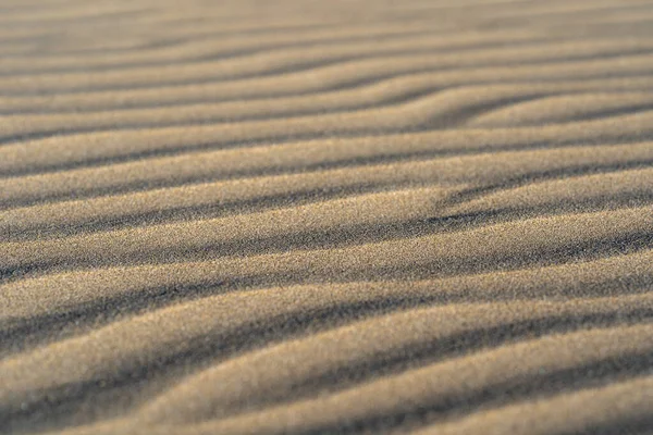 Dunes Maspalomasban Naplementekor — Stock Fotó