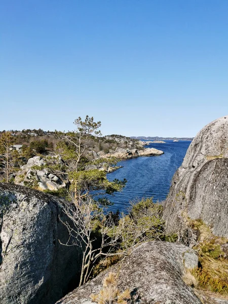 Tiro Vertical Uma Costa Rochosa Árvores Kjerringvik Noruega — Fotografia de Stock