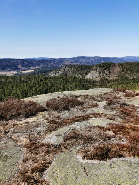 Tiro Vertical Árvores Rochas Sob Céu Brilhante Colina Farmenroysa Vestfold — Fotografia de Stock