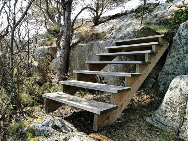 Die Holztreppe Einem Wald Kjerringvik Norwegen — Stockfoto