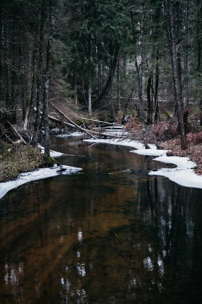 Disparo Vertical Arroyo Agua Bosque Invierno — Foto de Stock