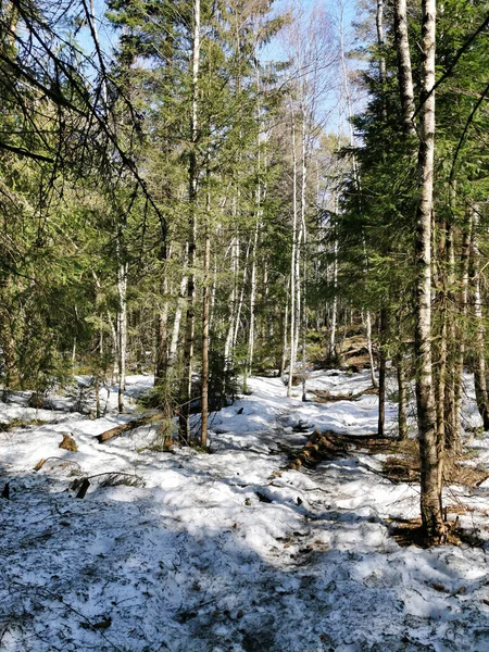 Śnieżna Droga Knappen Hill Vestfold Norwegia — Zdjęcie stockowe