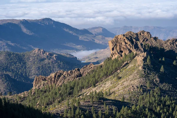 Vista Desde Popular Hito Canario Roque Nublo — Foto de Stock