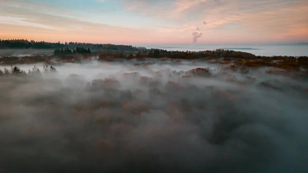 Veduta Aerea Roseo Tramonto Nel Bosco Coperto Nebbia — Foto Stock