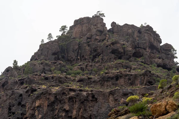 Die Verschiedenen Farben Der Charcos Azules Auf Gran Canaria — Stockfoto