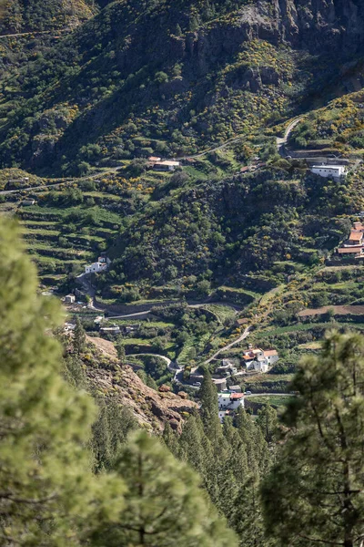 Θέα Από Δημοφιλές Gran Canarian Landmark Roque Nublo — Φωτογραφία Αρχείου
