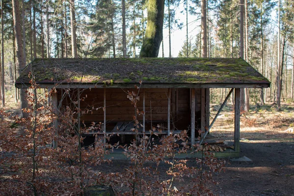 Ein Kleiner Picknickplatz Aus Holz Wald — Stockfoto