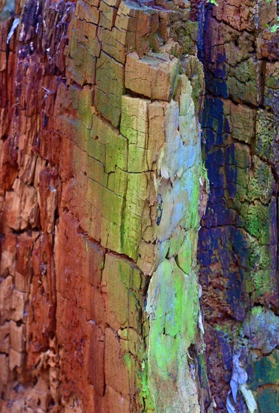 Vertical Shot Colorful Brick Wall — Stock Photo, Image